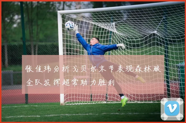 张佳玮分析戈贝尔末节表现森林狼全队发挥超常助力胜利