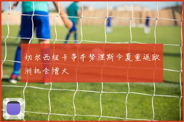 切尔西纽卡争夺努涅斯今夏重返欧洲机会增大