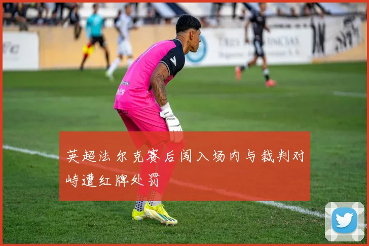 英超法尔克赛后闯入场内与裁判对峙遭红牌处罚