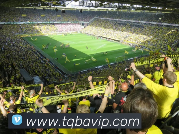 谈球吧服务体系